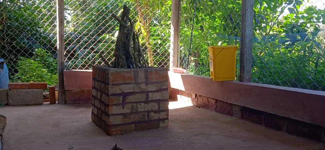 Cover photo of Ciyan coorg estate stay homestay madikeri